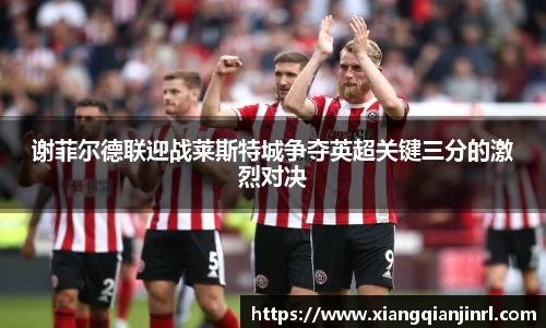谢菲尔德联迎战莱斯特城争夺英超关键三分的激烈对决